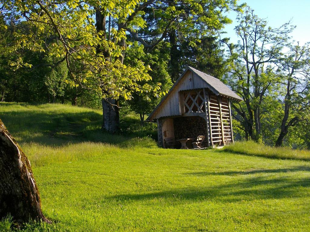 Gostilna Pension Blegos Poljane nad Skofjo Loko Exterior photo