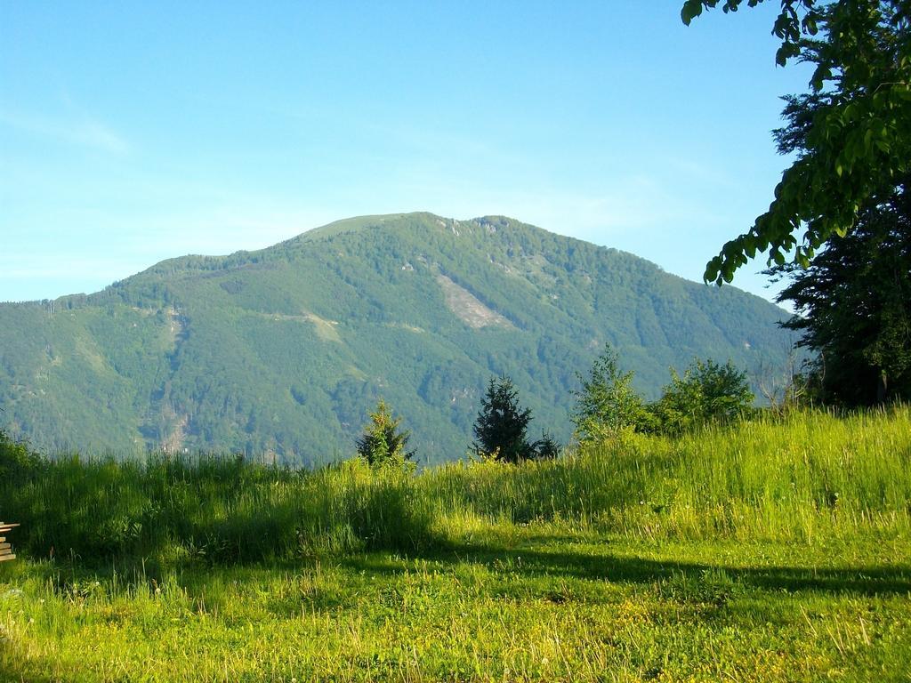Gostilna Pension Blegos Poljane nad Skofjo Loko Exterior photo